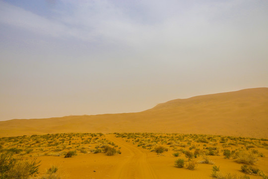 漫天黄沙的沙漠