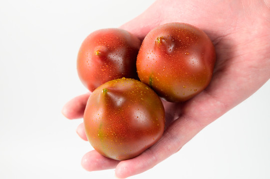 铁皮西红柿