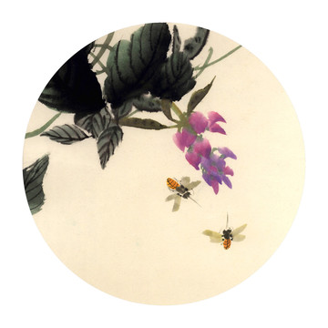 紫藤花与蜜蜂