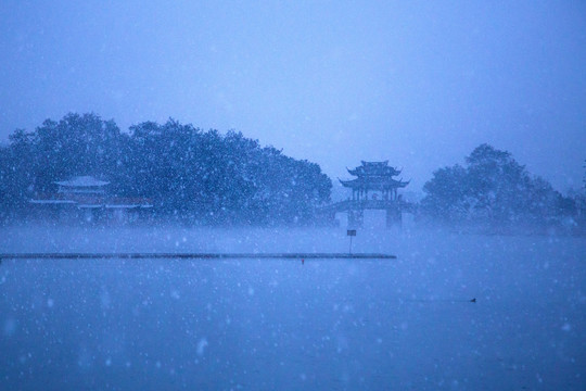 曲院风荷雪韵