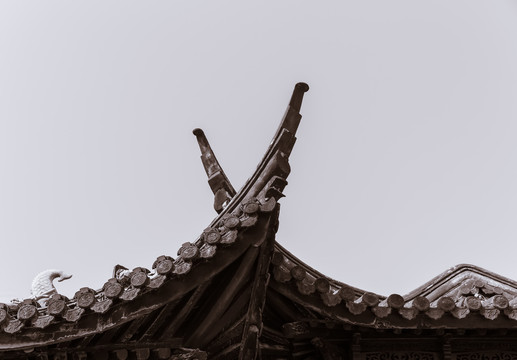交叉