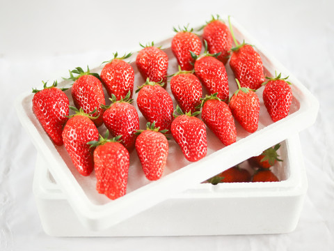 泡沫箱里的草莓