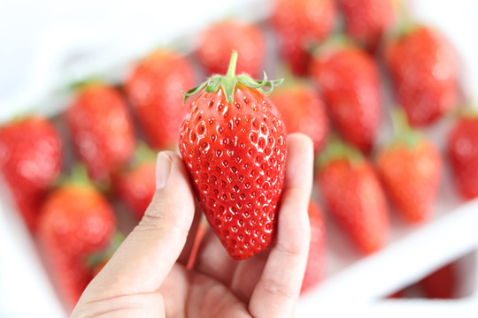拿在手里的草莓