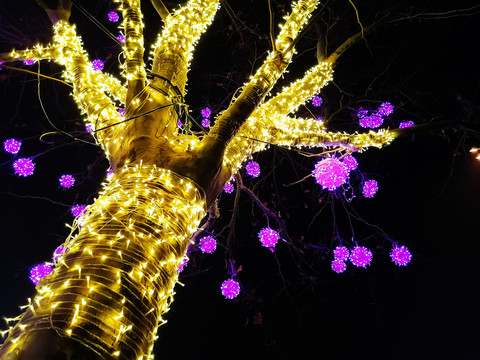 节日树木装饰彩灯