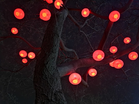 树上的灯笼