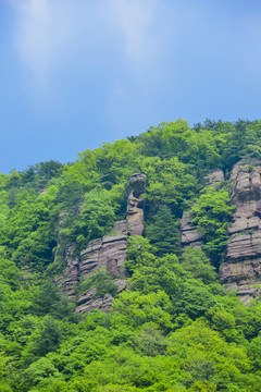 山水风景