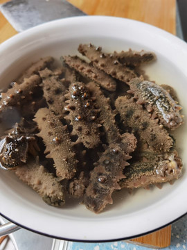 海参