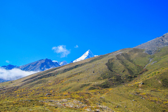 贡嘎雪山