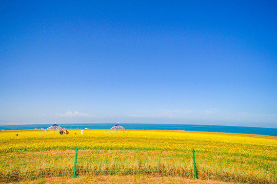 青海湖