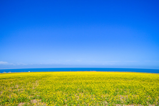 青海湖