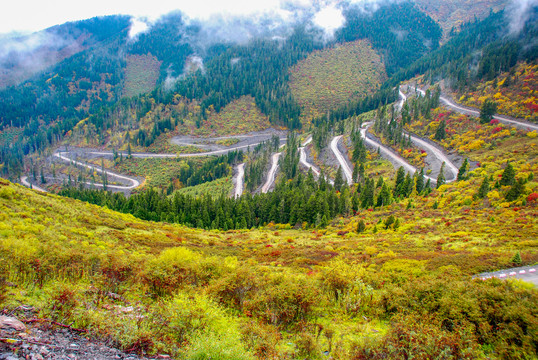 盘山路秋色