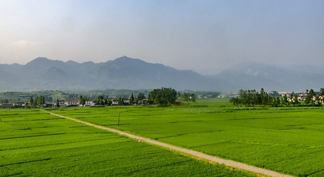 汉中米粮川