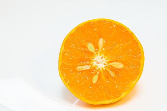 橘子截面
