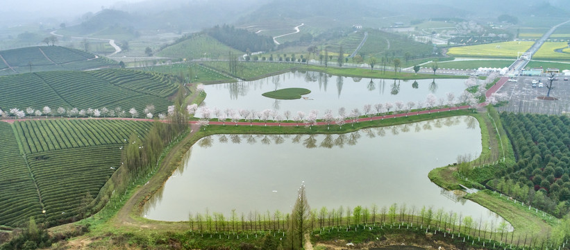 春天里的风景