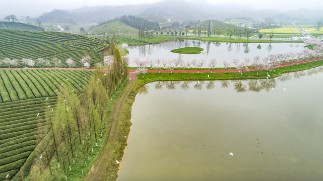 春天风景