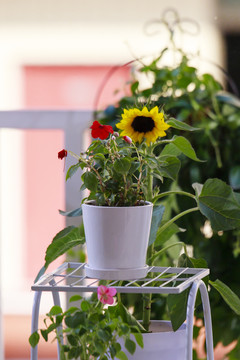 花