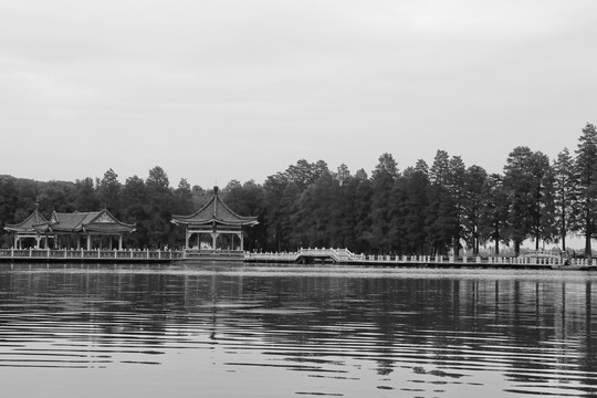 东湖碧潭观鱼景色