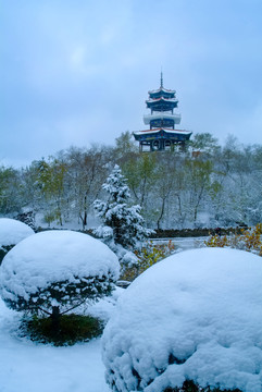 黑龙江齐齐哈尔龙沙公园雪景