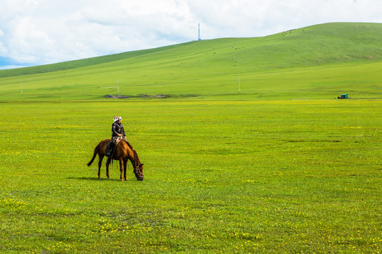 夏季草原骑马放牧