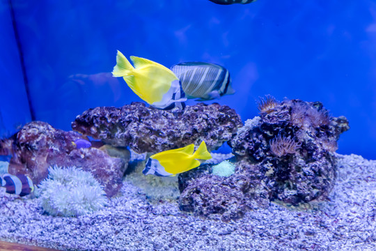 海底世界