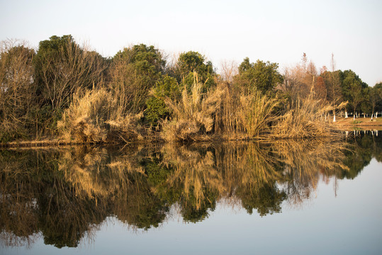 南昌艾溪湖湿地公园