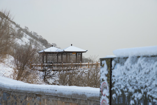 雪景