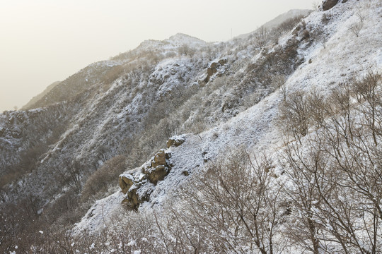 雪景