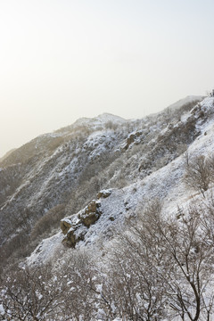 雪景