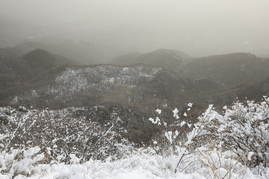 雪景