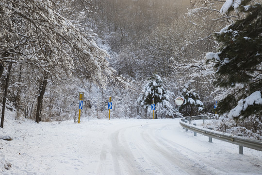 山路