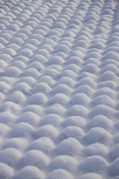 雪景