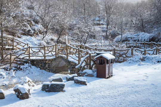 雪景