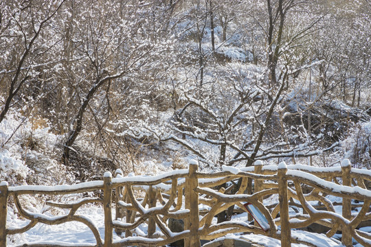 雪景