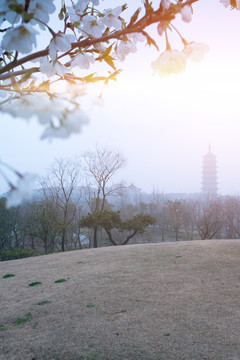 春暖花开