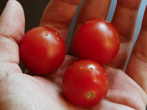 手里握着三个小番茄