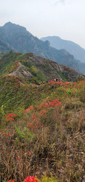 山峰