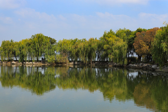湖边绿荫