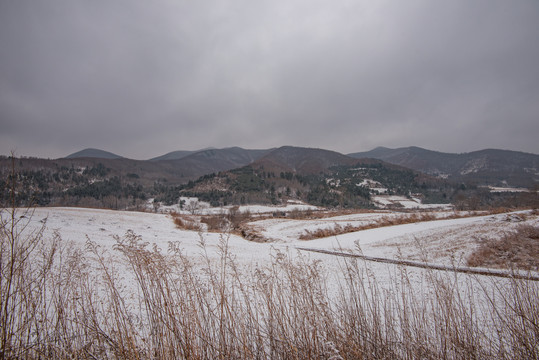 春雪