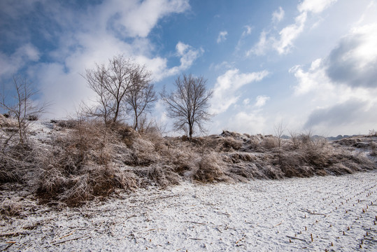 春雪