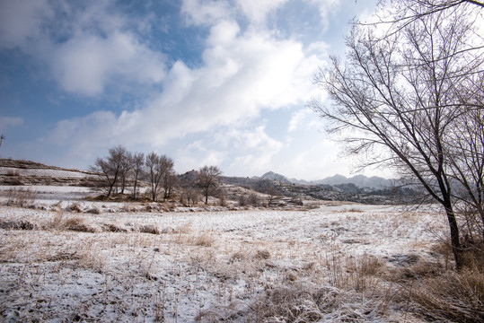 春雪