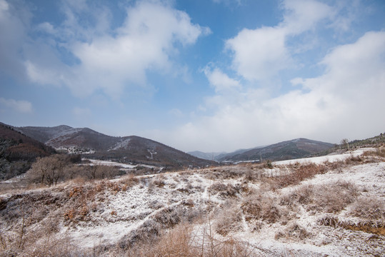 春雪