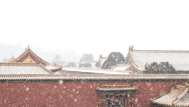 雪花飘落下的故宫