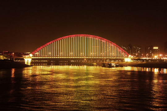 晴川桥夜景