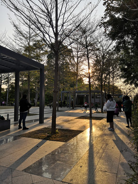 公园风景