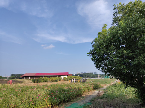 田园郊外