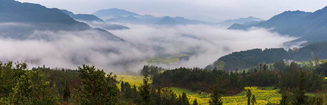 江西婺源江岭油菜花风景