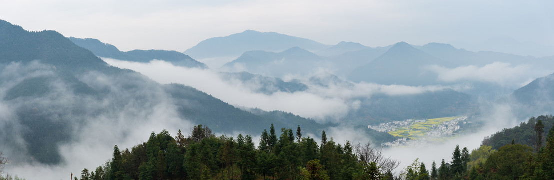 江西婺源江岭油菜花风景