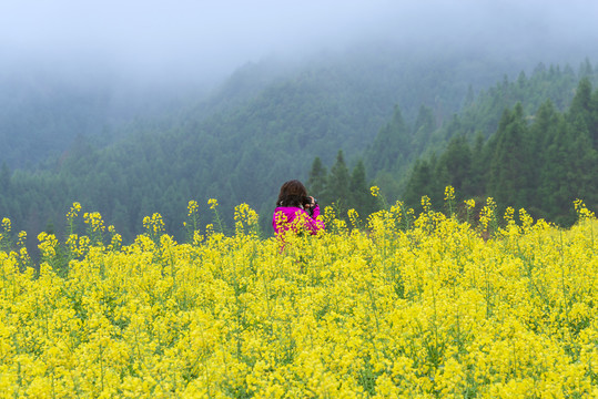 江西婺源江岭油菜花风景