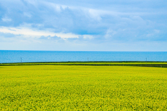 青海湖