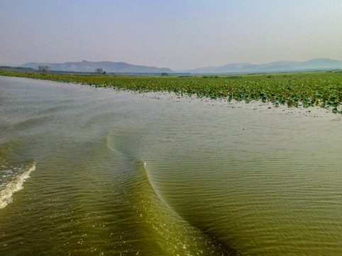 微山湖